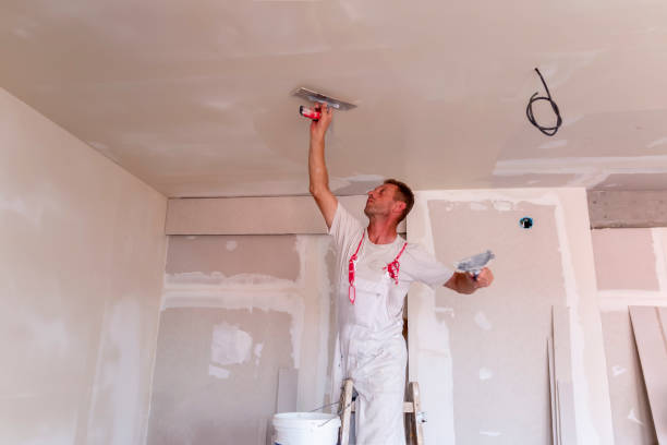 Best Repainting for Renovations  in USA